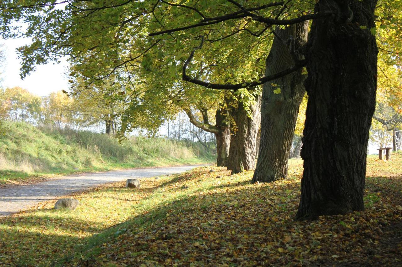 Ferienwohnung Am Weltnaturerbe Grumsin Ziehten Eksteriør billede